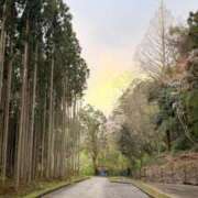 ヒメ日記 2025/04/15 00:46 投稿 葵あお ミスターダンディー