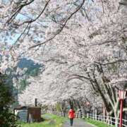 ヒメ日記 2025/04/15 10:20 投稿 葵あお ミスターダンディー