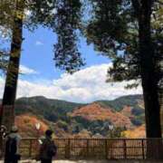 ヒメ日記 2025/04/15 23:52 投稿 葵あお ミスターダンディー