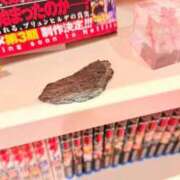 ヒメ日記 2025/04/20 09:18 投稿 葵あお ミスターダンディー