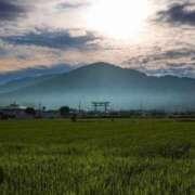 ヒメ日記 2025/04/20 20:48 投稿 葵あお ミスターダンディー