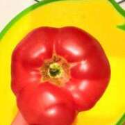 ヒメ日記 2025/04/22 22:33 投稿 葵あお ミスターダンディー