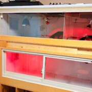 ヒメ日記 2025/05/14 18:43 投稿 葵あお ミスターダンディー