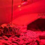 ヒメ日記 2025/05/24 19:53 投稿 葵あお ミスターダンディー