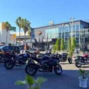 ヒメ日記 2025/06/05 16:53 投稿 葵あお ミスターダンディー