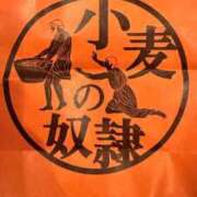 ヒメ日記 2025/06/29 02:53 投稿 葵あお ミスターダンディー