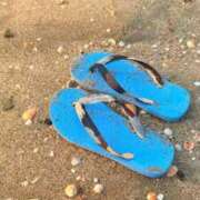 ヒメ日記 2025/07/08 18:53 投稿 葵あお ミスターダンディー