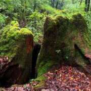 ヒメ日記 2025/07/14 05:03 投稿 葵あお ミスターダンディー