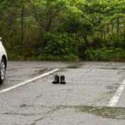 ヒメ日記 2025/07/14 05:26 投稿 葵あお ミスターダンディー