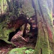 ヒメ日記 2025/07/16 05:29 投稿 葵あお ミスターダンディー