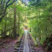 ヒメ日記 2025/07/16 06:23 投稿 葵あお ミスターダンディー