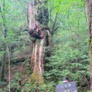 ヒメ日記 2025/07/16 06:43 投稿 葵あお ミスターダンディー