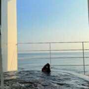 ヒメ日記 2025/07/16 07:43 投稿 葵あお ミスターダンディー