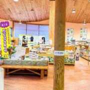 ヒメ日記 2025/07/17 12:43 投稿 葵あお ミスターダンディー