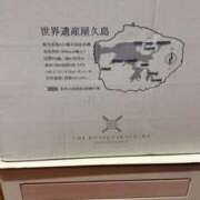 ヒメ日記 2025/07/21 01:13 投稿 葵あお ミスターダンディー