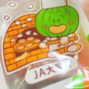 ヒメ日記 2025/07/22 09:13 投稿 葵あお ミスターダンディー