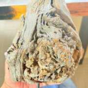 ヒメ日記 2025/07/23 16:53 投稿 葵あお ミスターダンディー