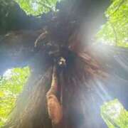 ヒメ日記 2025/08/13 20:03 投稿 葵あお ミスターダンディー