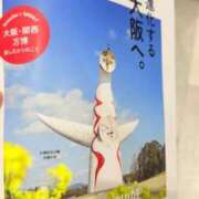 ヒメ日記 2025/08/14 02:23 投稿 葵あお ミスターダンディー