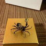 ヒメ日記 2025/08/21 00:53 投稿 葵あお ミスターダンディー