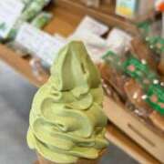 ヒメ日記 2025/08/23 02:13 投稿 葵あお ミスターダンディー