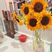 ヒメ日記 2025/08/25 17:43 投稿 葵あお ミスターダンディー