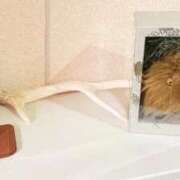 ヒメ日記 2025/09/14 00:23 投稿 葵あお ミスターダンディー