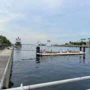 ヒメ日記 2025/09/18 14:53 投稿 葵あお ミスターダンディー