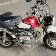 ヒメ日記 2025/09/26 15:13 投稿 葵あお ミスターダンディー