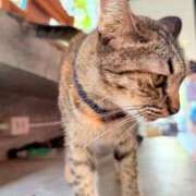 ヒメ日記 2025/10/02 10:53 投稿 葵あお ミスターダンディー