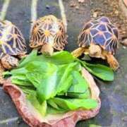 ヒメ日記 2025/10/09 23:33 投稿 葵あお ミスターダンディー