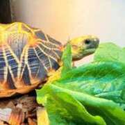 ヒメ日記 2025/10/14 08:13 投稿 葵あお ミスターダンディー