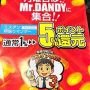 ヒメ日記 2025/10/14 16:14 投稿 葵あお ミスターダンディー