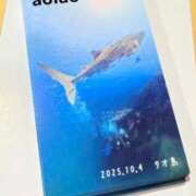 ヒメ日記 2025/10/15 23:13 投稿 葵あお ミスターダンディー