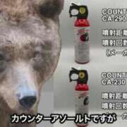 ヒメ日記 2025/10/24 12:05 投稿 葵あお ミスターダンディー