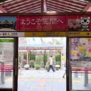 ヒメ日記 2025/10/31 21:03 投稿 葵あお ミスターダンディー