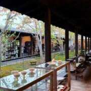 ヒメ日記 2025/10/31 22:03 投稿 葵あお ミスターダンディー