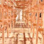 ヒメ日記 2025/11/04 13:43 投稿 葵あお ミスターダンディー