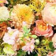 ヒメ日記 2025/11/17 22:53 投稿 葵あお ミスターダンディー