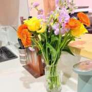 ヒメ日記 2025/11/23 22:23 投稿 葵あお ミスターダンディー