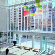 ヒメ日記 2025/12/11 14:33 投稿 葵あお ミスターダンディー