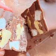 葵あお ゾウガメが… ミスターダンディー