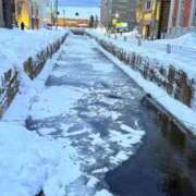 ヒメ日記 2026/02/20 01:03 投稿 葵あお ミスターダンディー