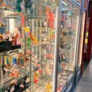 ヒメ日記 2026/03/05 13:33 投稿 葵あお ミスターダンディー