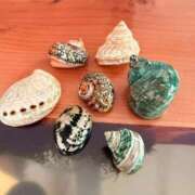 ヒメ日記 2026/03/07 09:23 投稿 葵あお ミスターダンディー