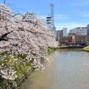 ヒメ日記 2026/04/08 03:03 投稿 葵あお ミスターダンディー