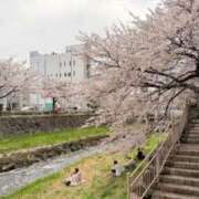 葵あお やってしまった…orz ミスターダンディー