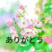 ヒメ日記 2025/04/20 11:52 投稿 荒木鈴那 五十路マダム 浜松店(カサブランカグループ)