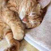 ヒメ日記 2025/04/30 20:30 投稿 荒木鈴那 五十路マダム 浜松店(カサブランカグループ)