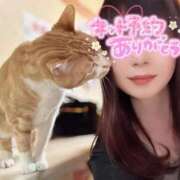 ヒメ日記 2026/05/14 13:12 投稿 あゆみ◆男性のイキ様猛勉強！ 即イキ淫乱倶楽部 柏店